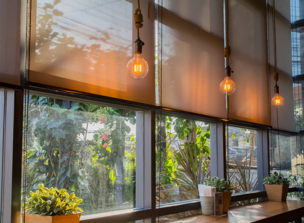 Retail shop electrical fit-out with display lighting and POS circuits